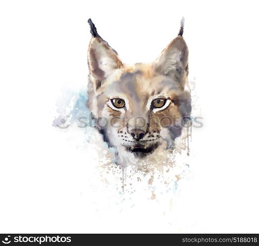 Digital Painting of Watercolor lynx. . Watercolor lynx. wild cat.