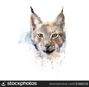 Digital Painting of Watercolor lynx. . Watercolor lynx. wild cat.
