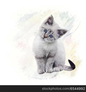 Digital Painting of White Kitten. White Kitten watercolor