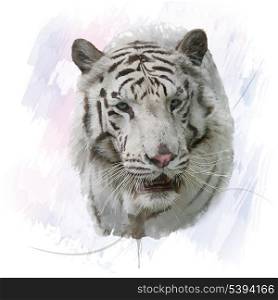 Digital Painting of White Tiger. White Tiger watercolor