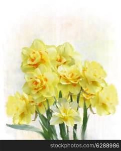 Digital Painting Of Yellow Daffodil Flowers