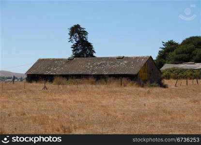 Dilapidated barn in an overgrown field, Petaluma, California