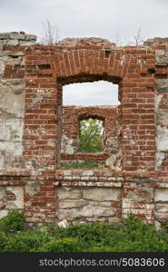 Dilapidated stud farm in the countryside