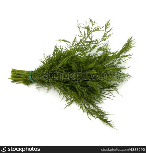 dill isolated on white background