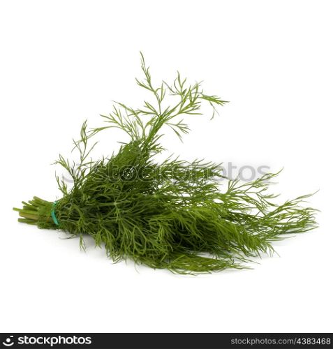 dill isolated on white background