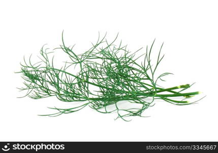 Dill leaf isolated on white background