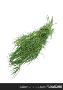 dill on a white background