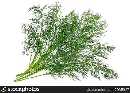 Dill sprig on a white background