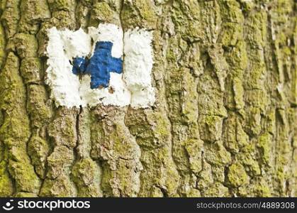 direction sign on a tree. direction sign