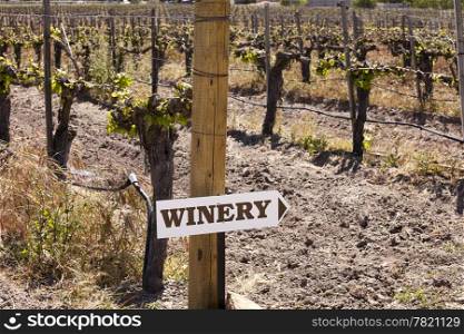 Directions to a winery are posted on one of the end posts in a vineyard with grapevines trained to the trellis wires in the background.