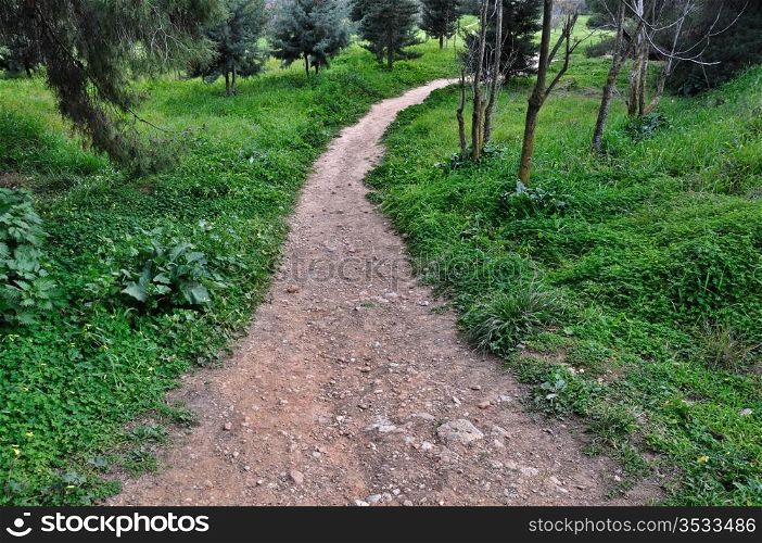 Dirt path through forest. Nature landscape background.
