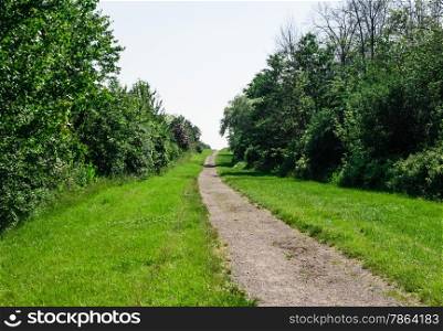 Dirt path through grass and trees against sky in summer.