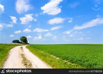 dirt road along lucerne field in France