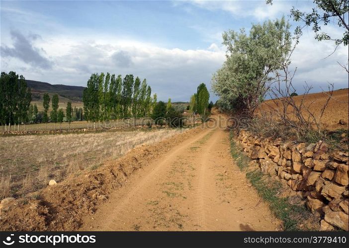 Dirt road and farmland in Anatolia, Turkey