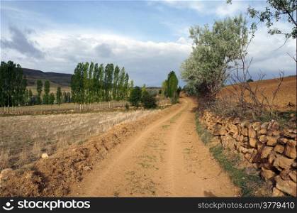 Dirt road and farmland in Anatolia, Turkey