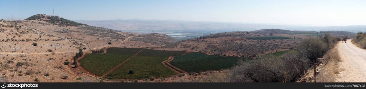 Dirt road and farmland, Israel