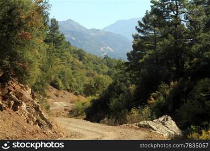 Dirt road and forest in mountain, south Turkey