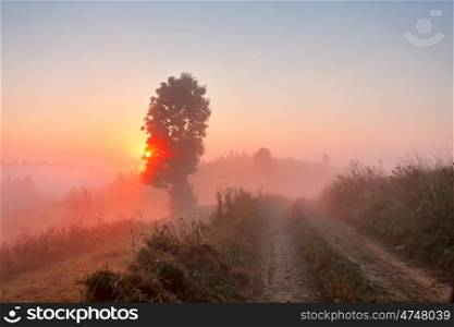 Dirt road at foggy morning. Misty rural hills. Foggy autumn sunrise in mountains.