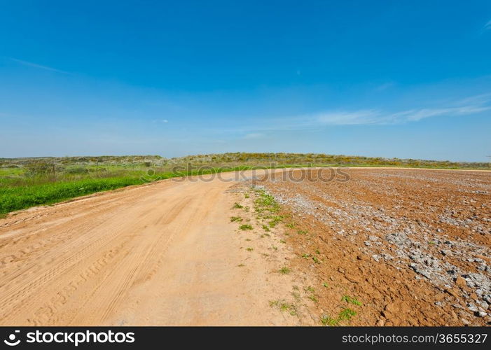 Dirt Road between Plowed Fields in Israel, Spring