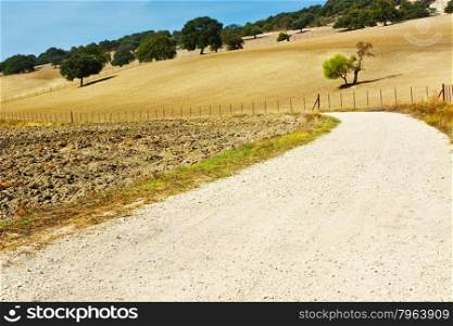 Dirt Road between Plowed Sloping Hills of Spain in the Autumn