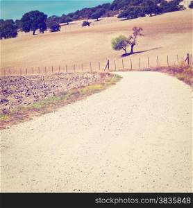 Dirt Road between Plowed Sloping Hills of Spain in the Autumn, Instagram Effect