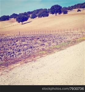 Dirt Road between Plowed Sloping Hills of Spain in the Autumn, Instagram Effect