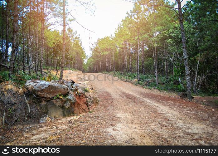 Dirt road dust to pine forest trees in the countryside