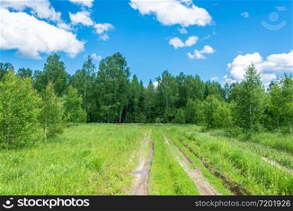 Dirt road going to the Holy Pokrovsky source Kadyysky district, Kostroma oblast, Russia.