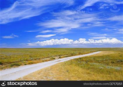 Dirt road in a meadow against the blue sky with white clouds