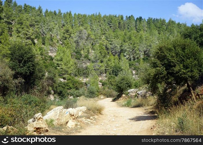 Dirt road in Judea mountain national park, Israel
