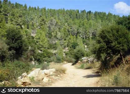 Dirt road in Judea mountain national park, Israel