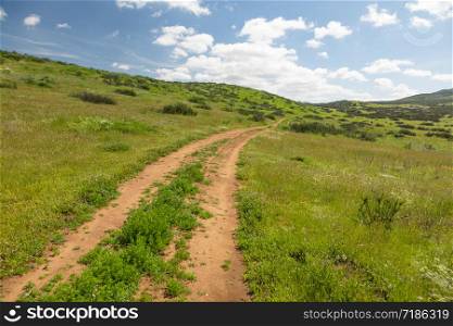 Dirt Road In Lush Green Meadow Leading Into the Hills.
