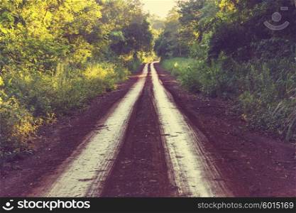Dirt road in remote jungle