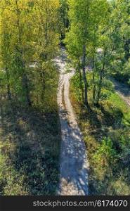 Dirt road in the forest, top view