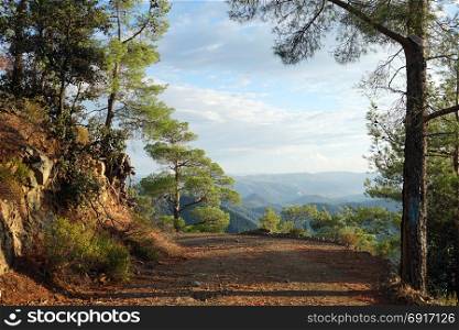 Dirt road in the forested mountain area of Troodos, Cyprus