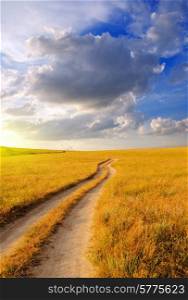 Dirt road in the steppe at dawn. Beautiful summer landscape