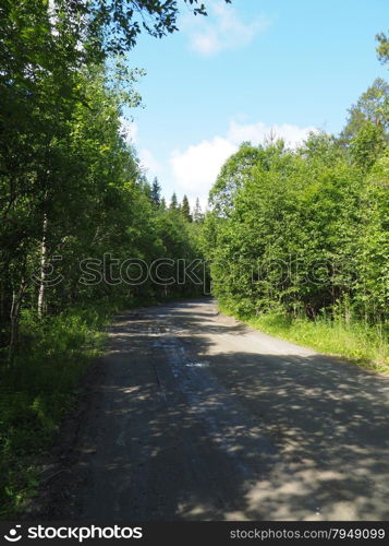 dirt road in the woods