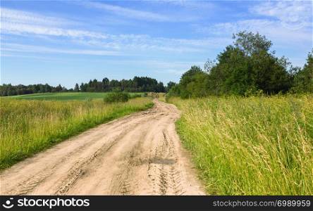 Dirt road leading through a field in the countryside and vanishing among the trees on a horizon under a blue sky on a summer day. Vologda region, Russia. Selective focus.