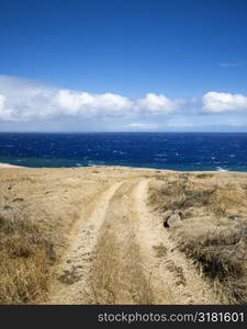 Dirt road leading to secluded beach in Maui, Hawaii.