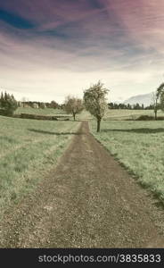 Dirt Road Leading to the Farmhouse in the Swiss Alps, Vintage Style Toned Picture