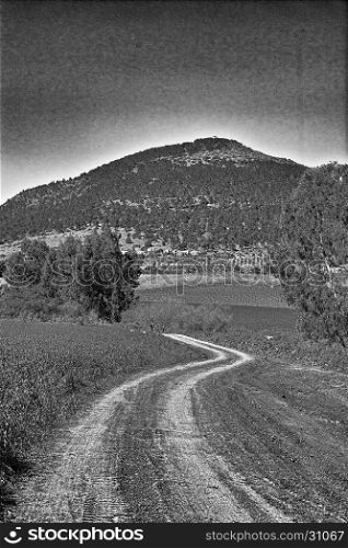 Dirt Road Leading to the Flowering Almond Garden at the Foot of the Mount Tabor in Israel, Stylized Photo