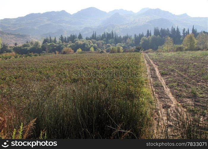Dirt road near cotton field near Aspendos in Turkey