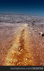 Dirt Road of the Negev Desert in Israel, Vintage Style Toned Picture