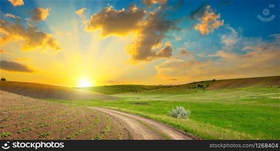 Dirt road on panoramic agricultural landscape with bright sunset and blue sky.