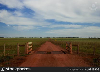 Dirt road on the farm