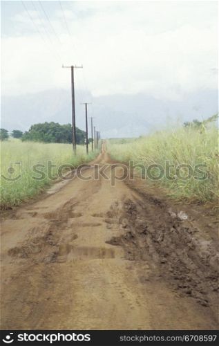Dirt road passing through a field
