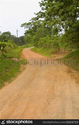 Dirt road passing through a forest, Camp Bay, Roatan, Bay Islands, Honduras