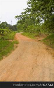 Dirt road passing through a forest, Camp Bay, Roatan, Bay Islands, Honduras