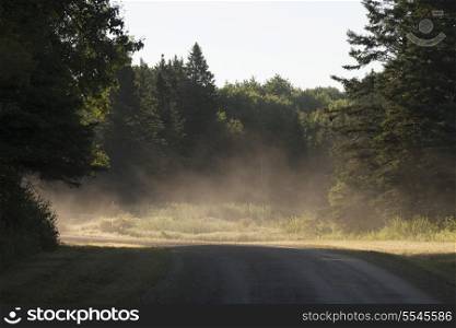 Dirt road passing through a forest, Riding Mountain National Park, Manitoba, Canada