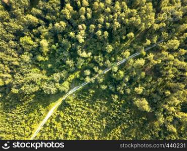 Dirt road passing through a green forest on a clear summer day. Aerial view from the drone natural layout for your ideas. Top view. Top view on a sunny summer day on a dirt road through the foliage of the forest. Natural background. Aerial view from the drone